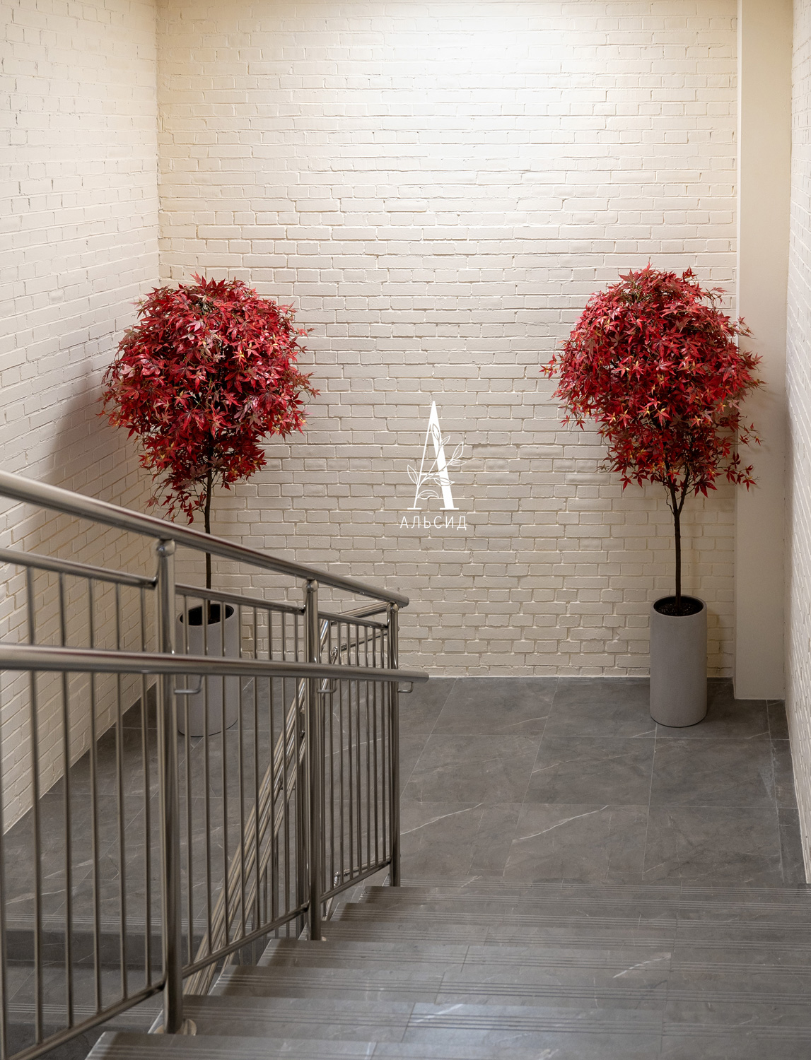 210/РН/530(з)(F) Клен Японский искусственный h210см, красный_4