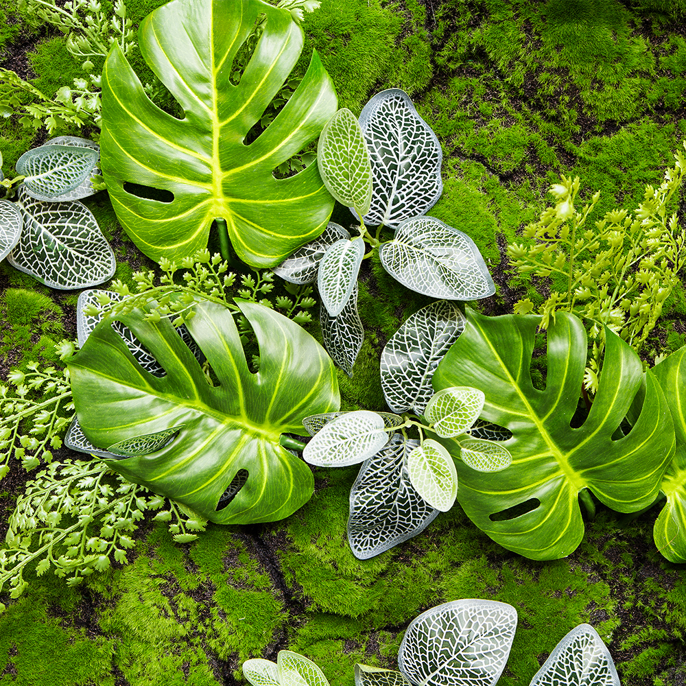 Фитостена 122 (1кв.м)_2