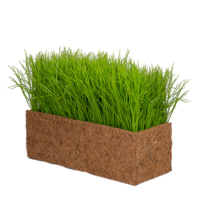 ТД058-25(з.) Трава Осока в кокосовом боксе 44*16*15_7