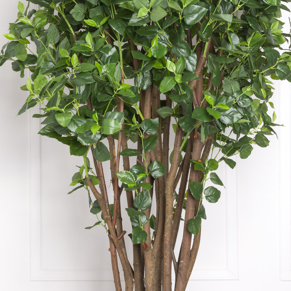 240/К/458(з) Колеус искусственный куст h240см, зеленый_2