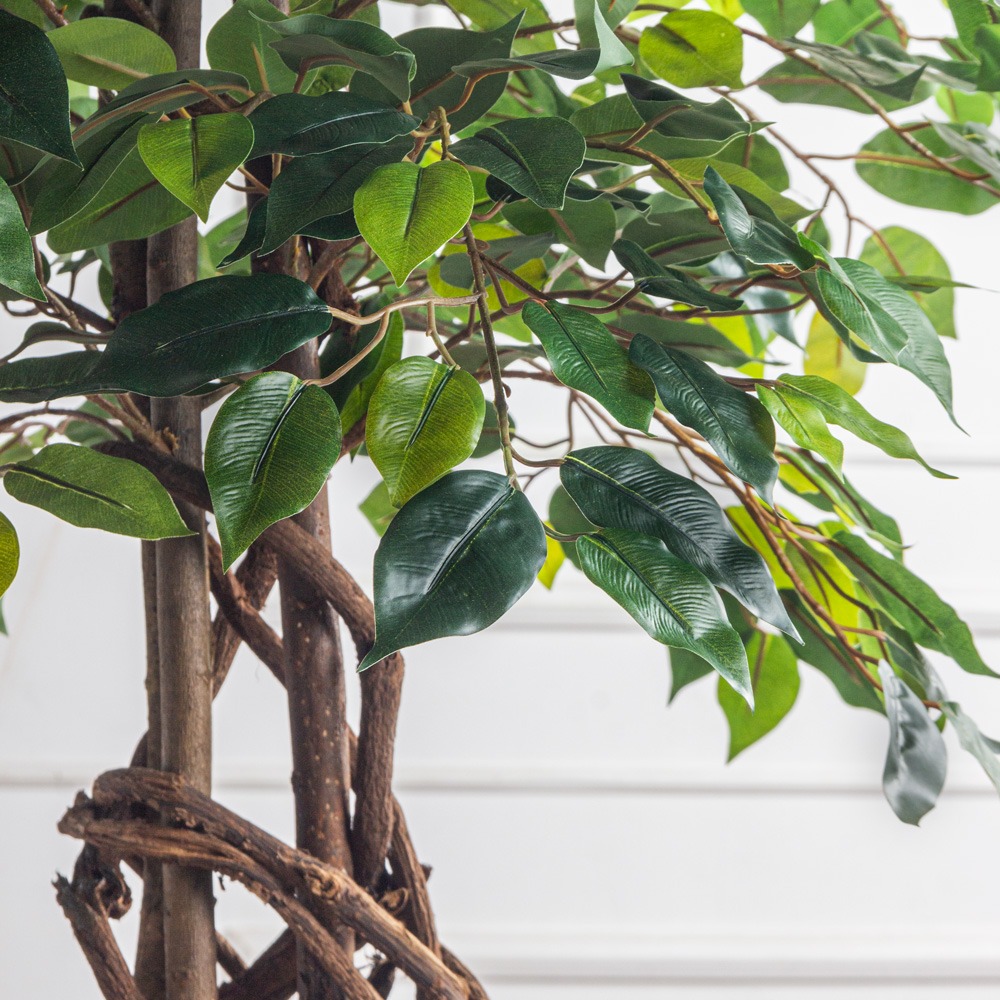 180/ПЛ/34(Пр) Фикус искусственный h180см (латекс)_6