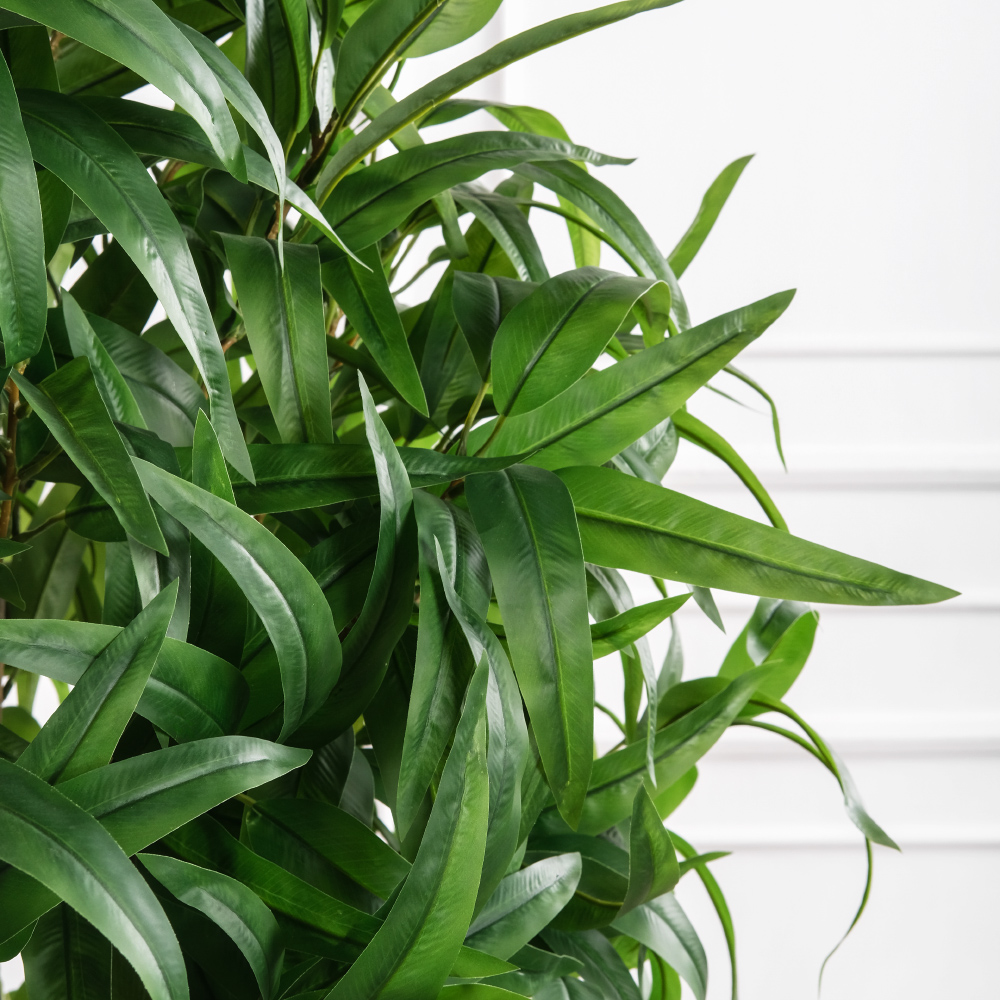 160/РН/441(Пр)(F) Манго искусственное h160см (латекс)_5