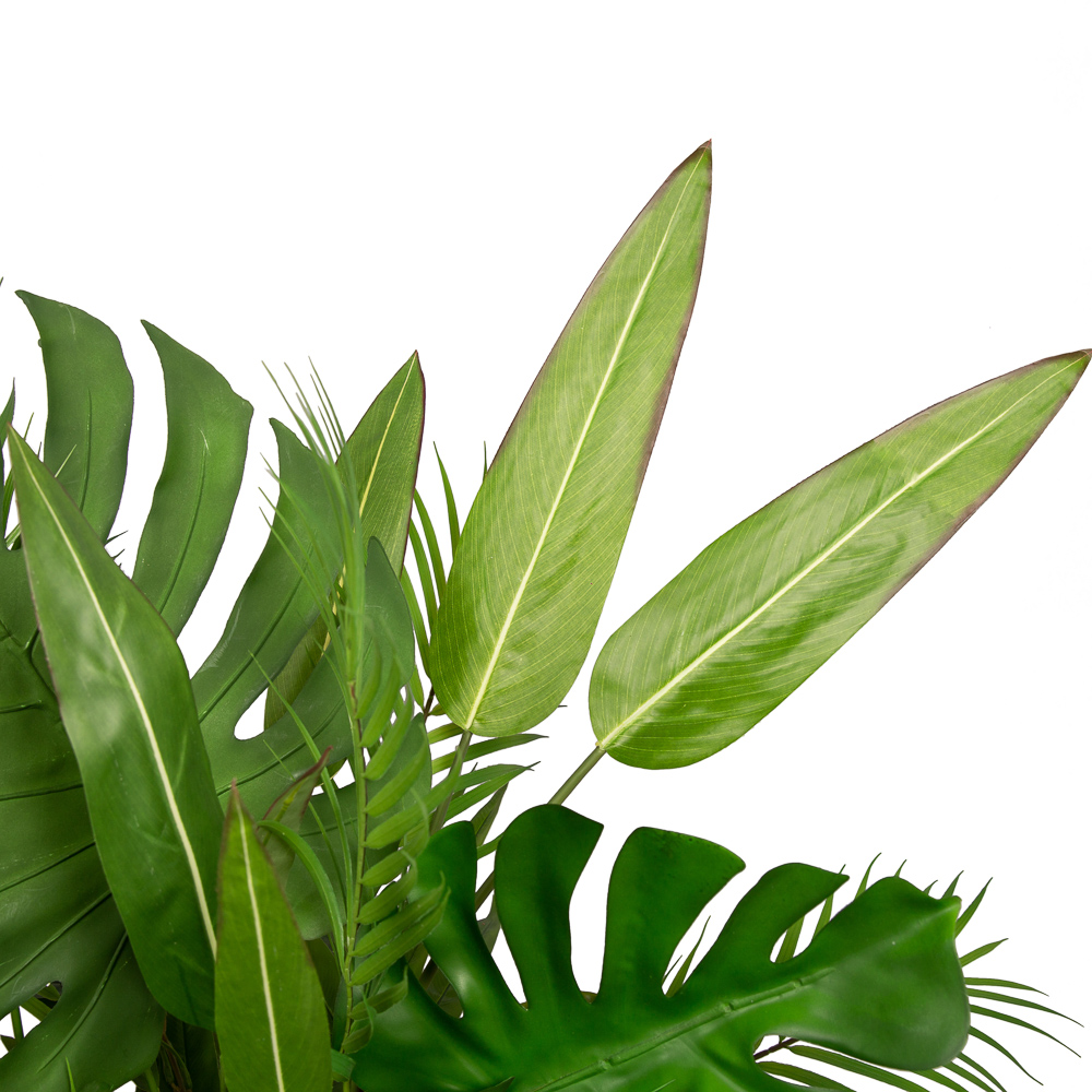 К360 Композиция с монстерой в кокосовом боксе 16*16*h10_3