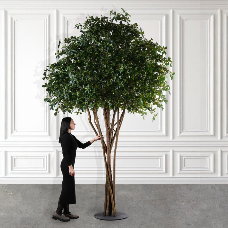 320/РН/84-1(з)(F) Шеффлера искусственная h320см на основании_1