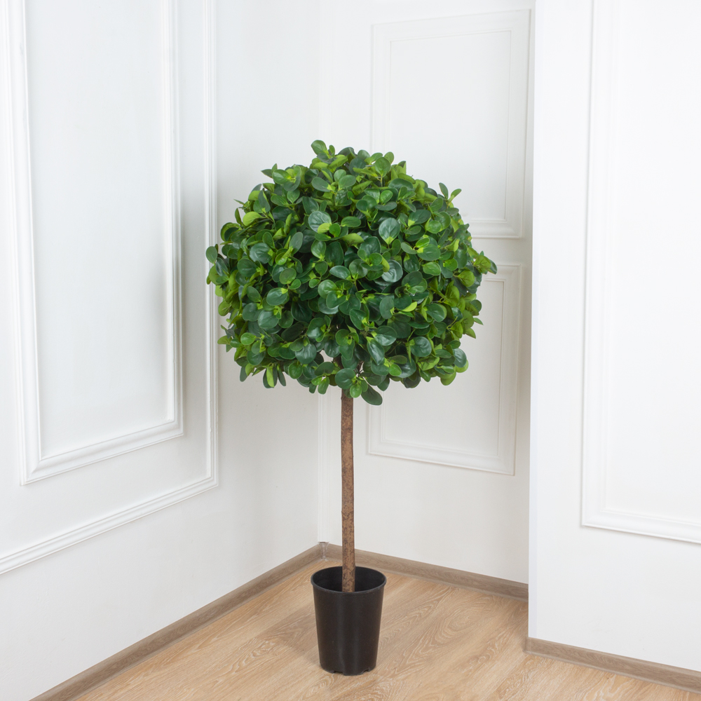 150/РН/473 Питтоспорум искусственный h150см_1