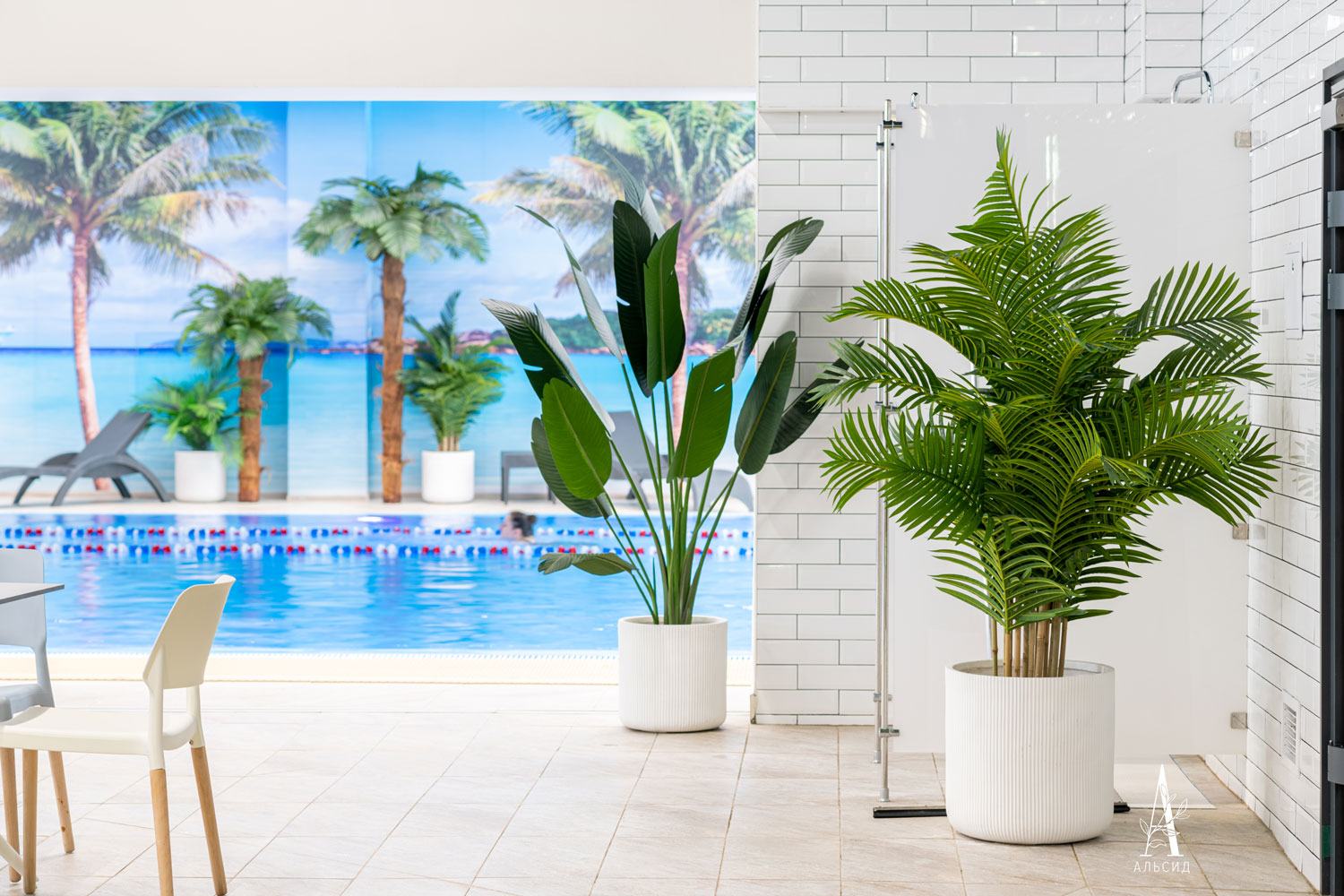 ПК180/К/49(з)(Пр)(FixK)(F) Пальма искусственная кустовая h180см(латекс)_5