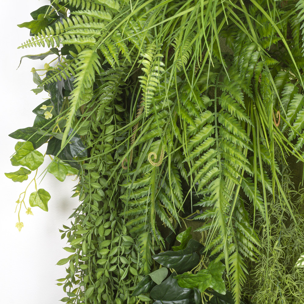 Фитостена 154_2