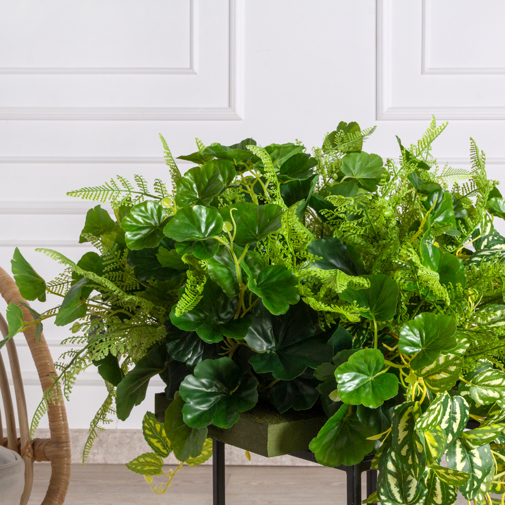 ВМ71(з) Композиция искусственная с Пилеей кадье на основании 30х20х3см_2