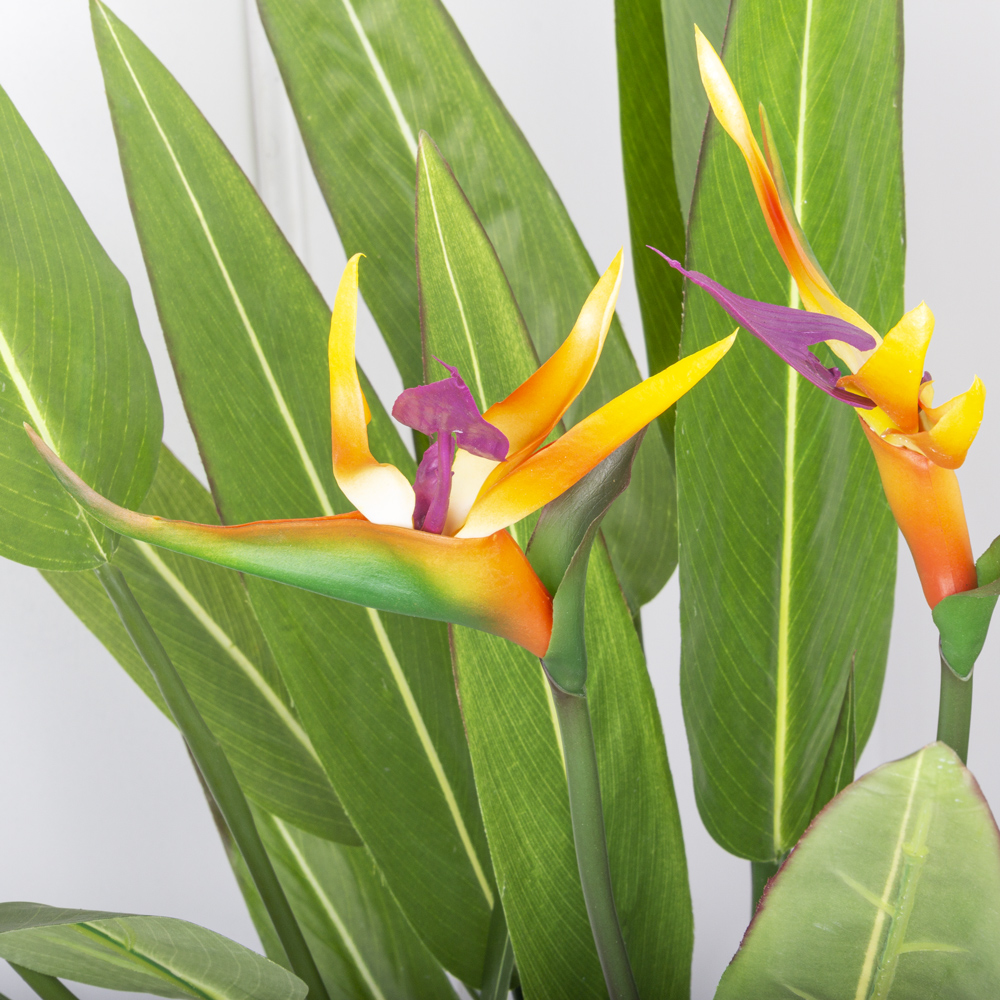 К075*6-1(Promo) Стрелиция искусственная куст с цветами большой h75см в кашпо d19см_4