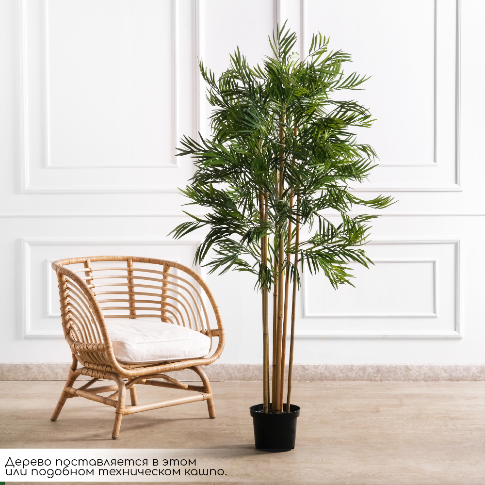 160/355(FixS)(Пр)(F) Бамбук искусственный узколистный 6 стволов, h160см_2