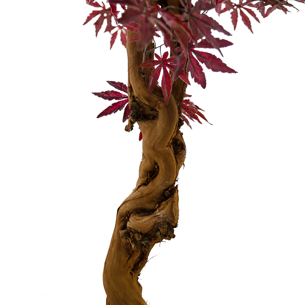 160/ОС/400(з.) Клен Японский красный h160см (латекс)_3
