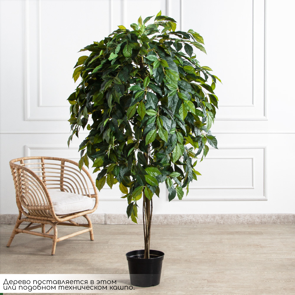 180/РН/537(FixS)(Пр)(F) Азимина искусственная h250см, (латекс)_2