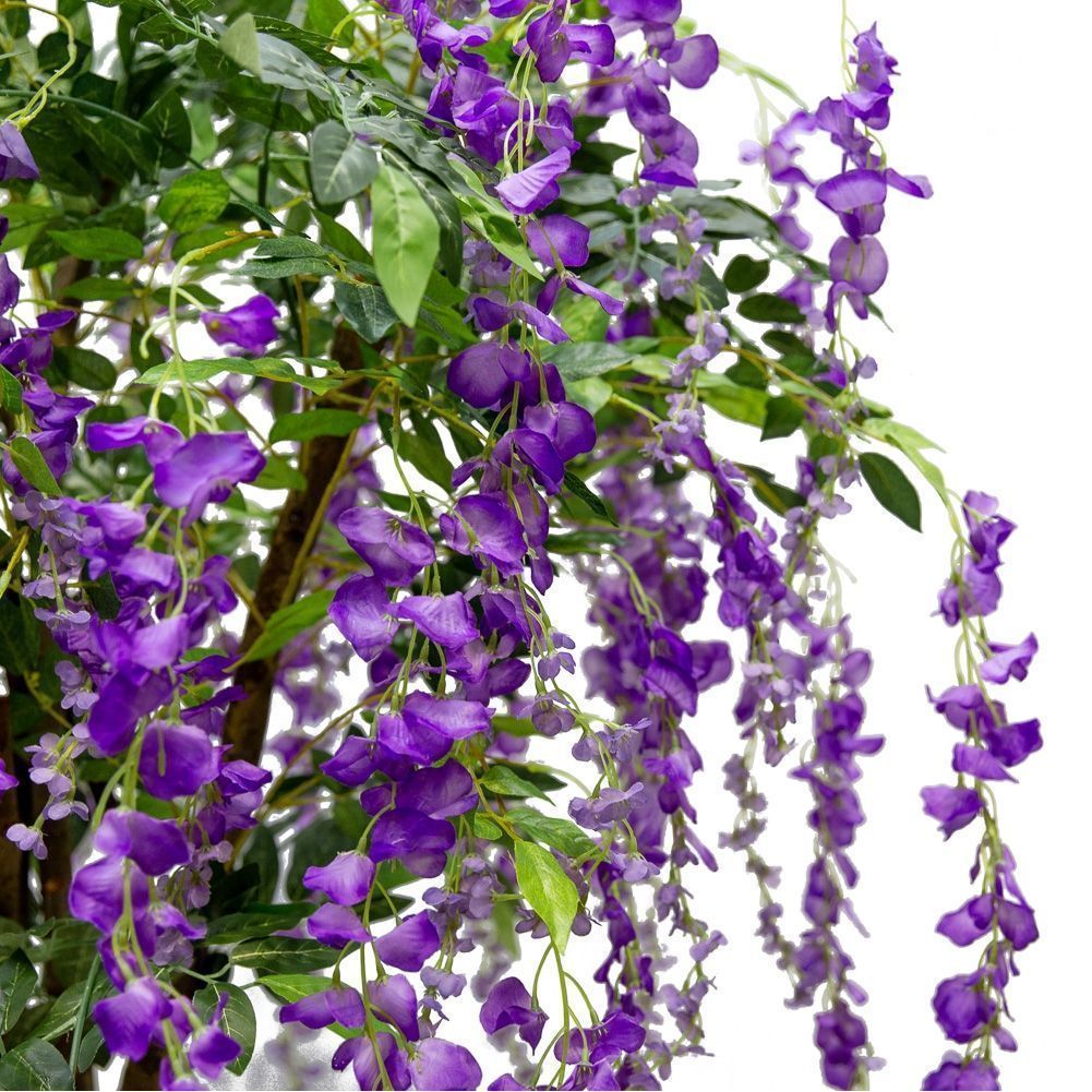 180/ССТ/ПЛ/424-2 Глициния (вистерия) сиреневая, сложный ствол h180см(латекс)_2