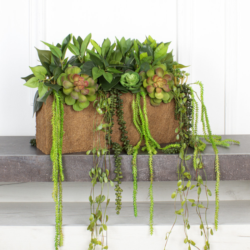 СКК14/7-2(з.) Композиц.из суккул.с зеленью в к.б(50х12х18)_7