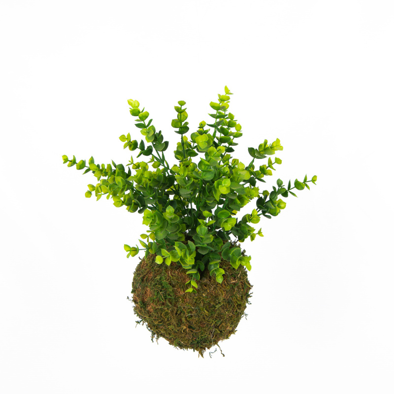 ККД35/154 Кокедама d-15 