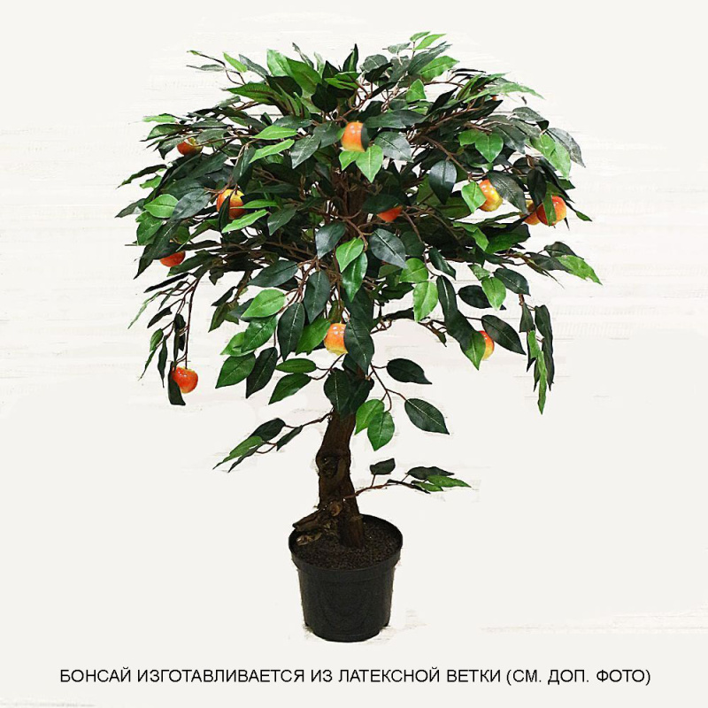 БП 70/38 Бонсай плод. Яблоня-мини (красн) 70см