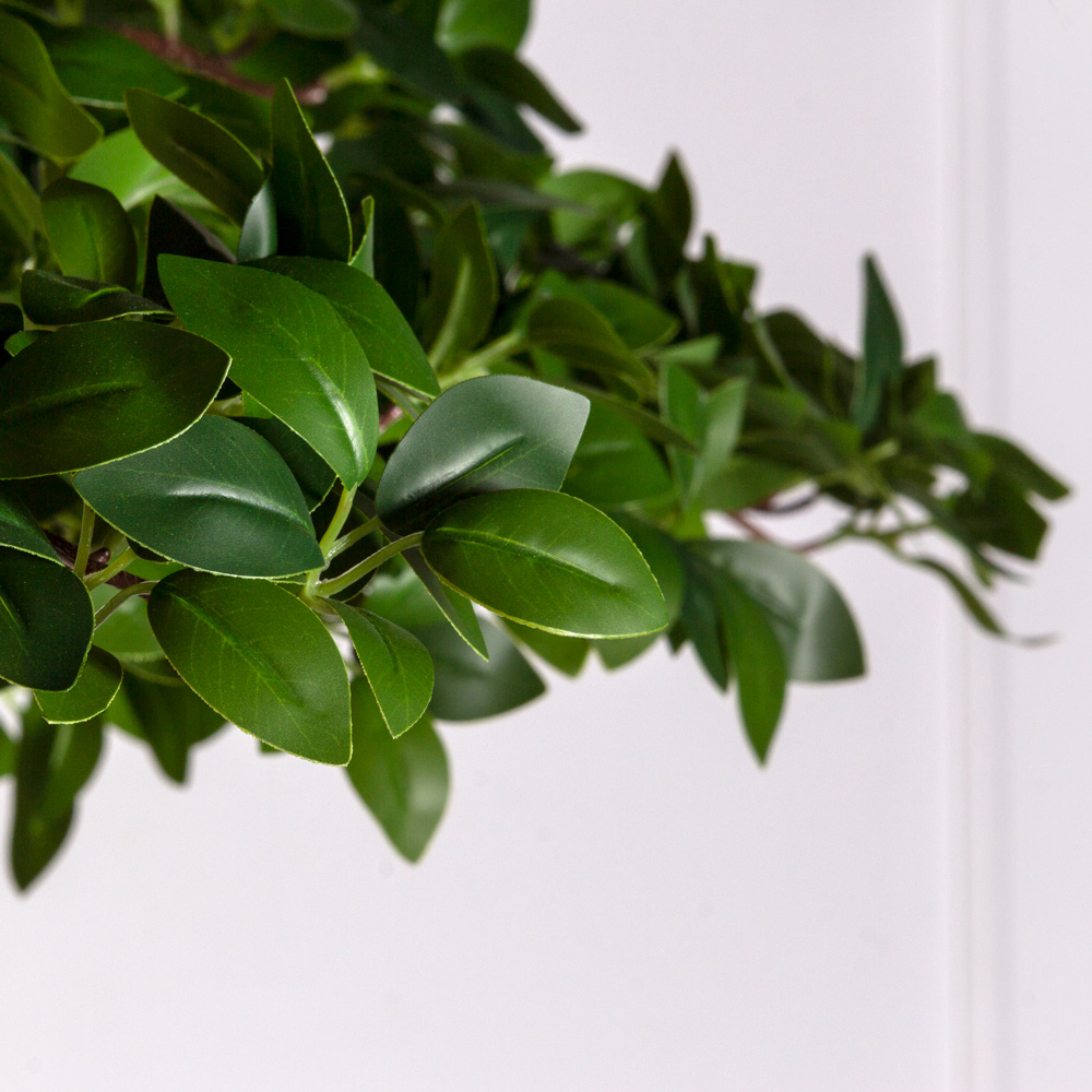 БЛ230/ДА/516(Пр) Бонсай искусственный Фикус Микрокарпа h230см (латекс) на основании _6