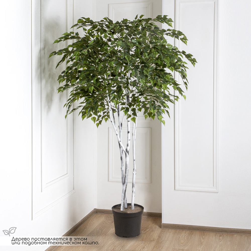 200/РН/490(з) Береза искусственная h200см (латекс)_1