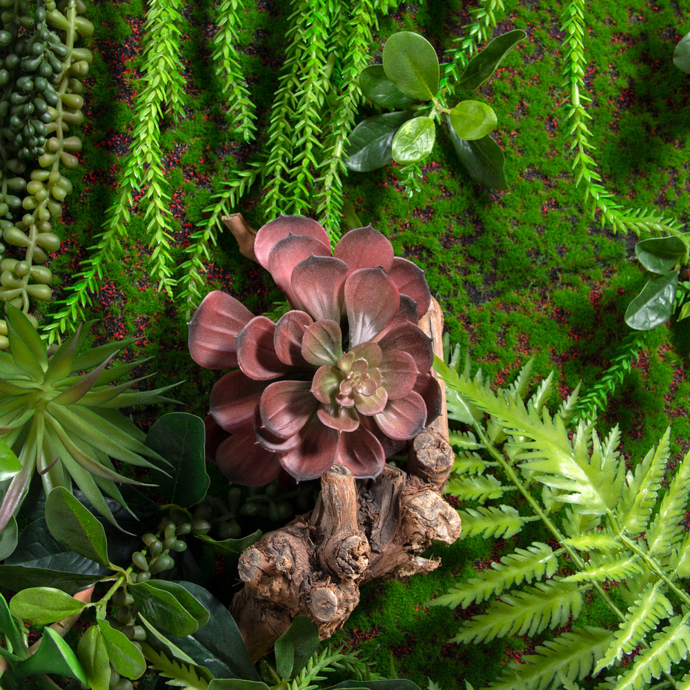 ФК52/20(з)(F) Фитокартина d190см в черной раме (S=2,83 кв.м.)_5