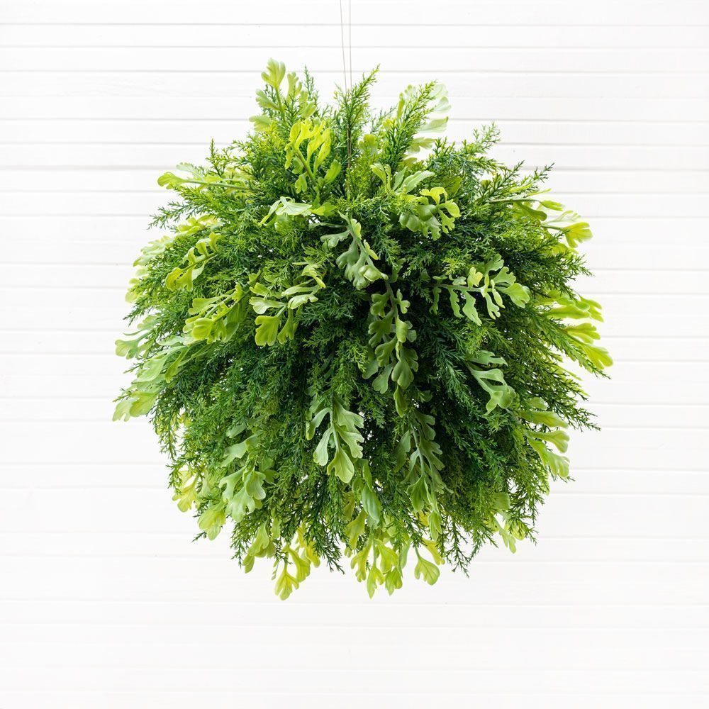 ККД85/301-2(з.) Кокедама d-20см 