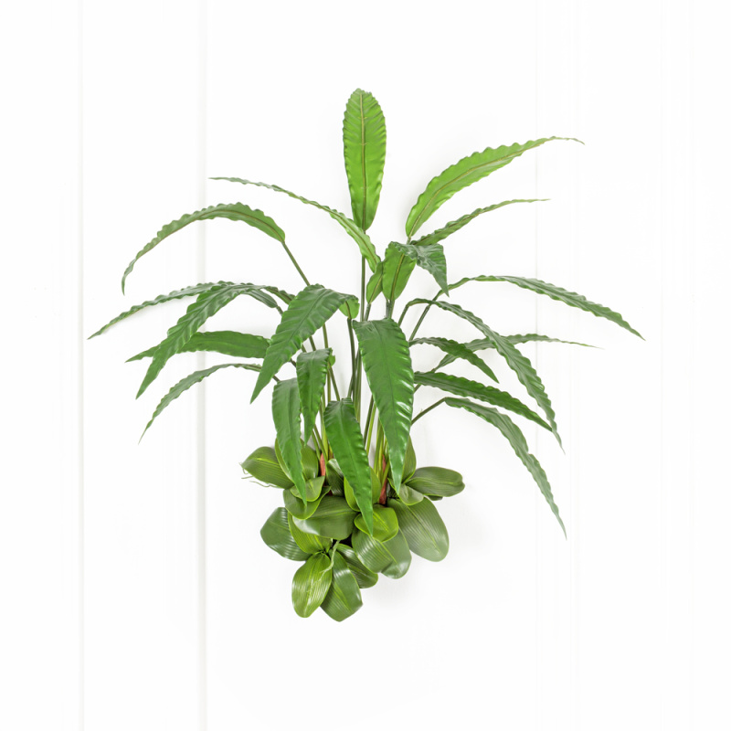 БК 21(Promo) Композиция с калатеей на блоке 15*h10см_6