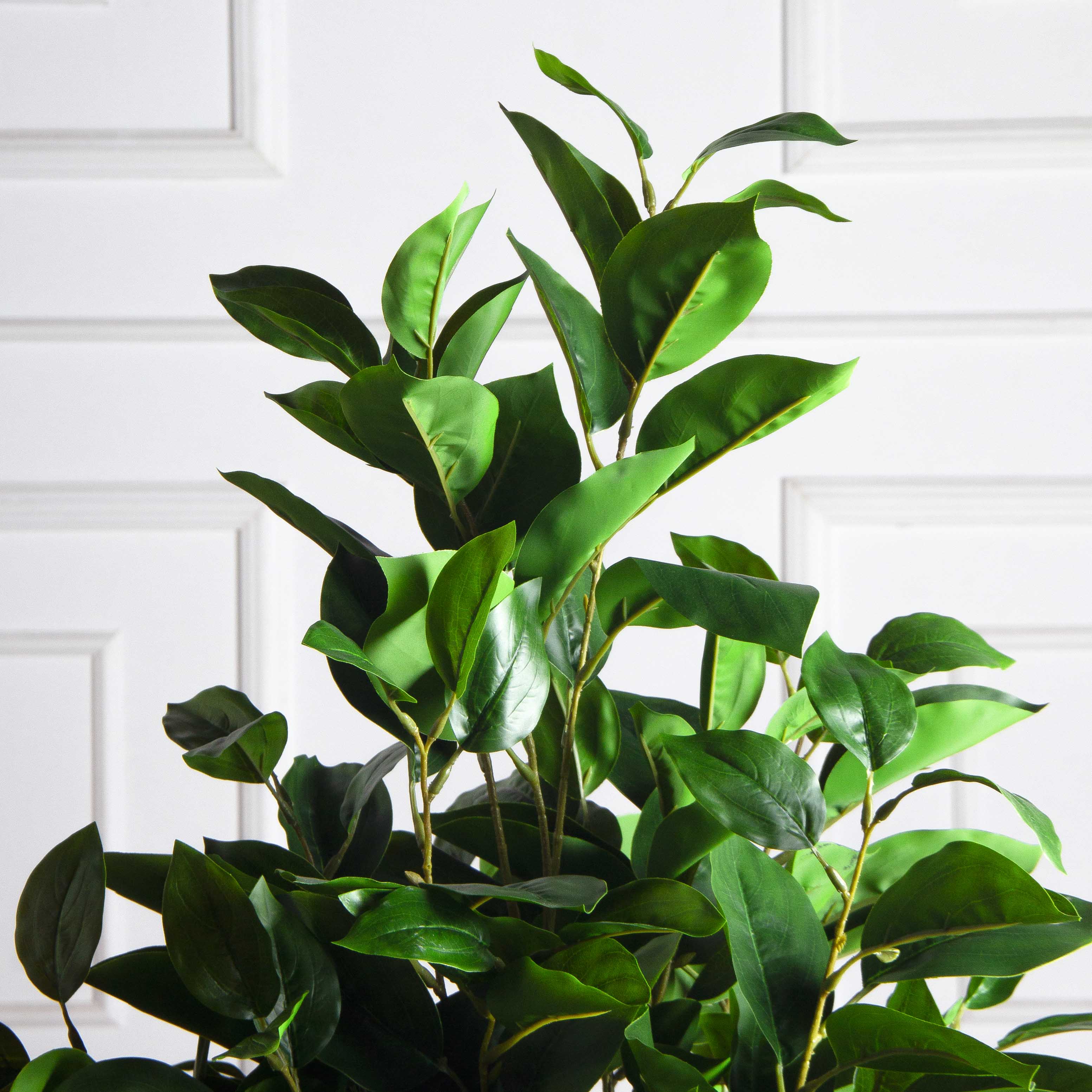 100/РН/504-1(з)(F) Фикус искусственный h100см, латекс_3