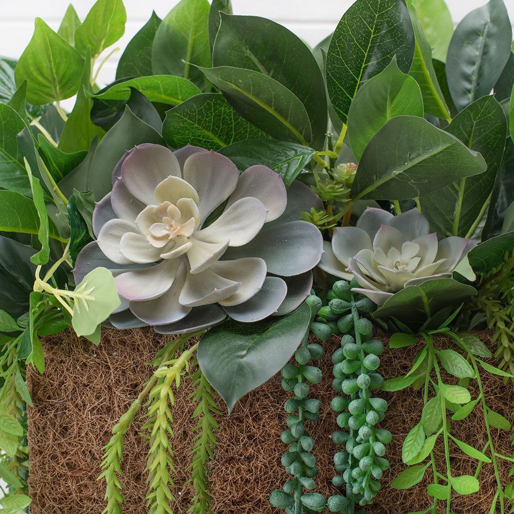 СКК14/7-3(з.) Композиц.из голуб.суккул.с зеленью в к.б(25х27х16,5)_2