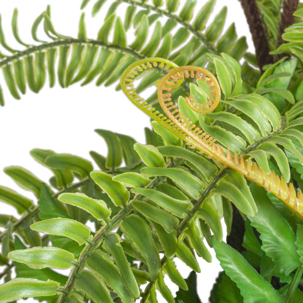 БК 14 Композиция с папоротником Осмунд на блоке 15*h10_23