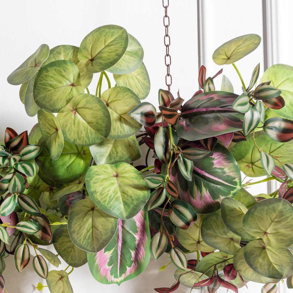 Л135-1(Пр)(F) Лиана тропическая с бордовой традесканцией L100см _4