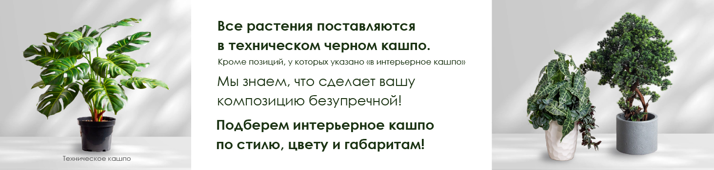 Под контентом