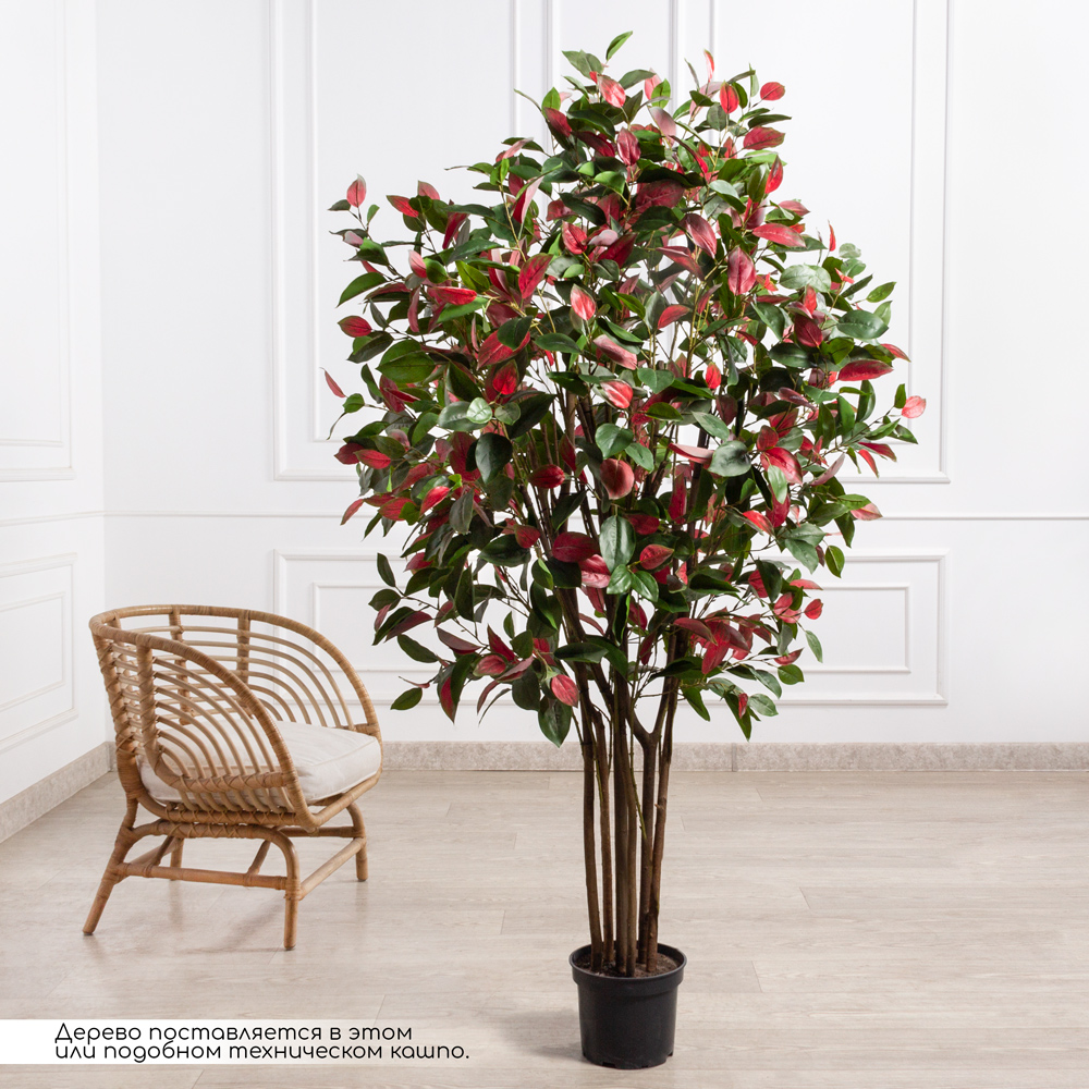 180/РН/420(F) Фотиния искусственная h180см (латекс), зелено-бордовая_1