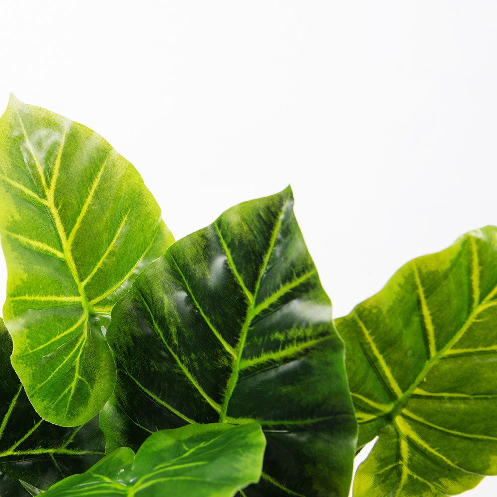 7143/0760-40/1 Куст филодендрон малый *12в h45см_2