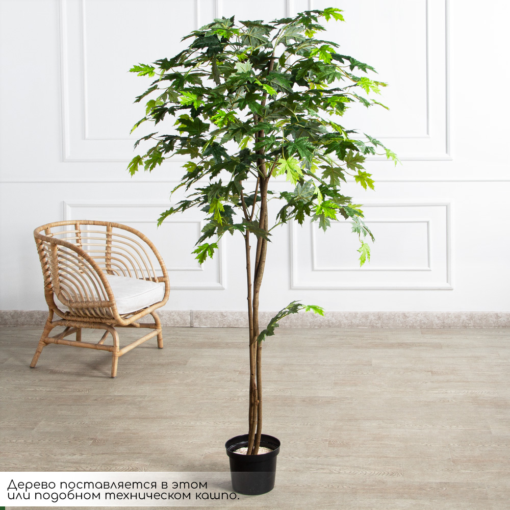 180/РН/ЭК/2900(Пр)(F) Клен искусственный h180см,зеленый_2