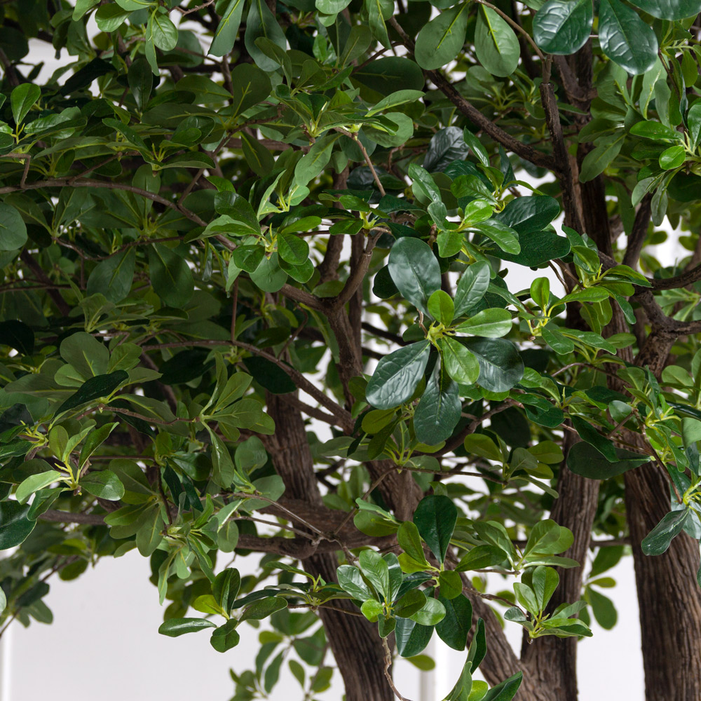 360МЕТст/ус/разб/Ш/84(F) Шеффлера искусственная шарообразная h360см, разборная_1