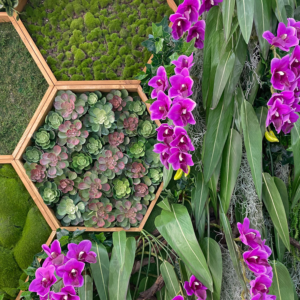 Фитостена 101_1