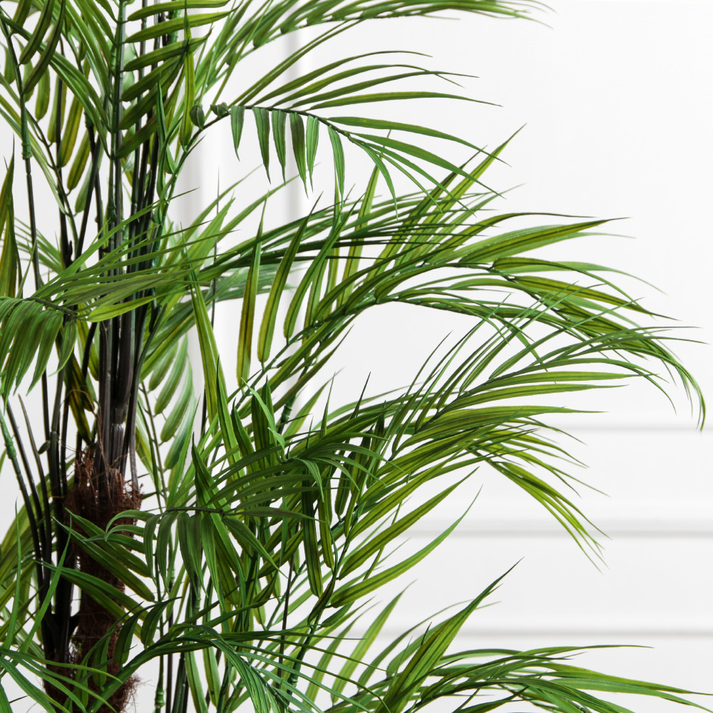 ПК200/5С/359(з)(Пр)(F) Пальма кустовая h200см_6