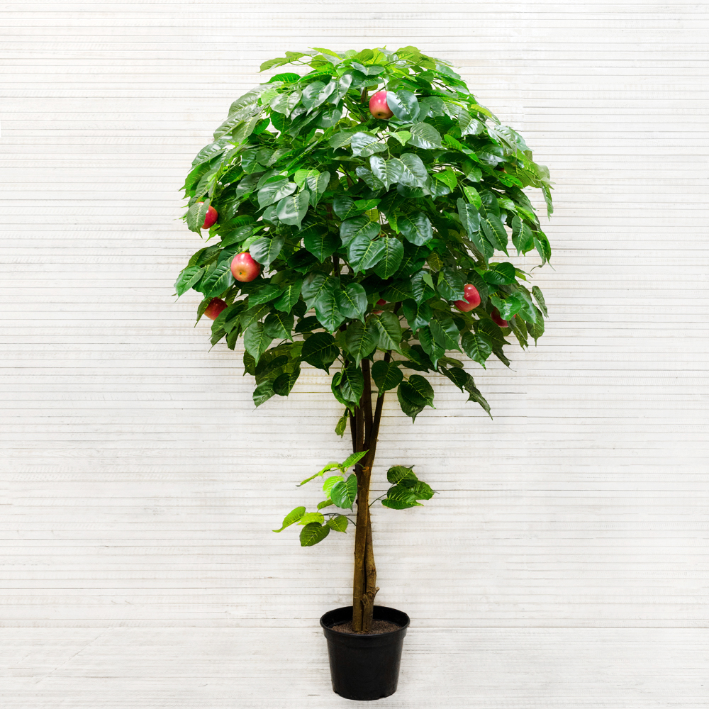 200/РПК/35(з.) Яблоня h-200см(латекс)