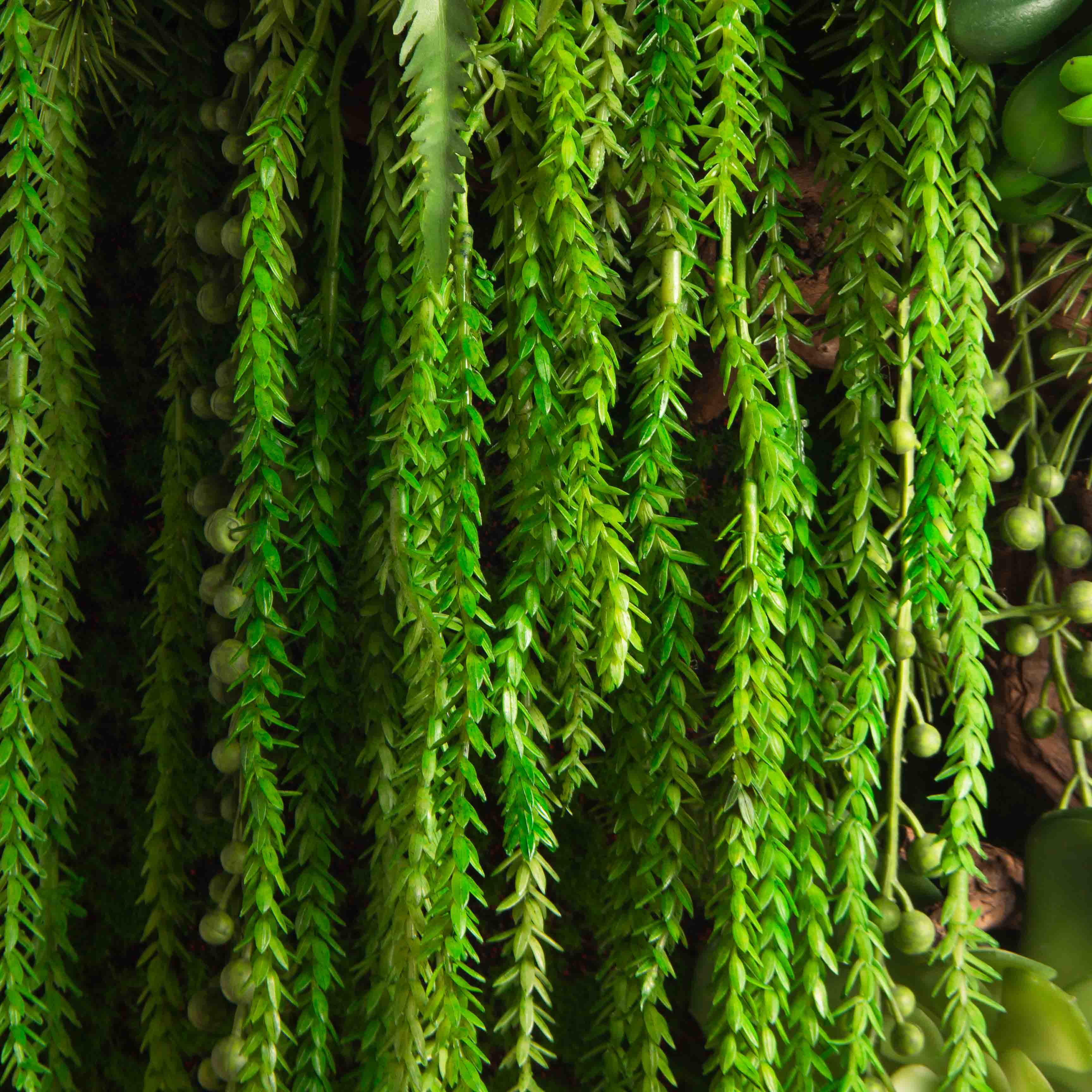 ФК03(з.)(F) Фитокартина с Эхеверией (44х h105см)_6