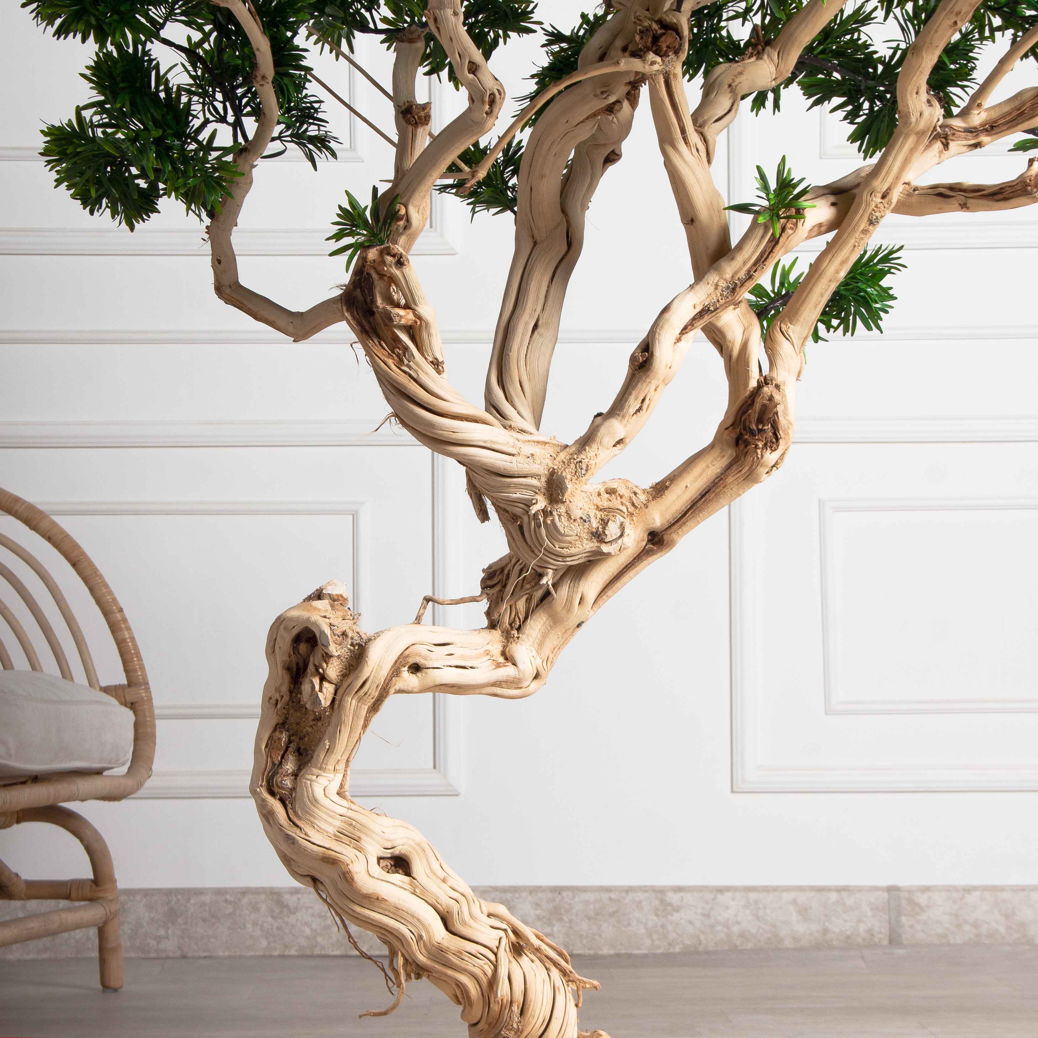 БЛ160/Д3/241(з)(F) Бонсай искусственный Подокарпус h160см d60-100см на основании_6