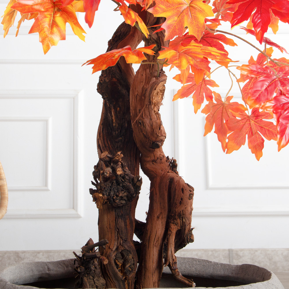 160/2К/ОС/528(з)(F) Клён искусственный осенний h160см_5