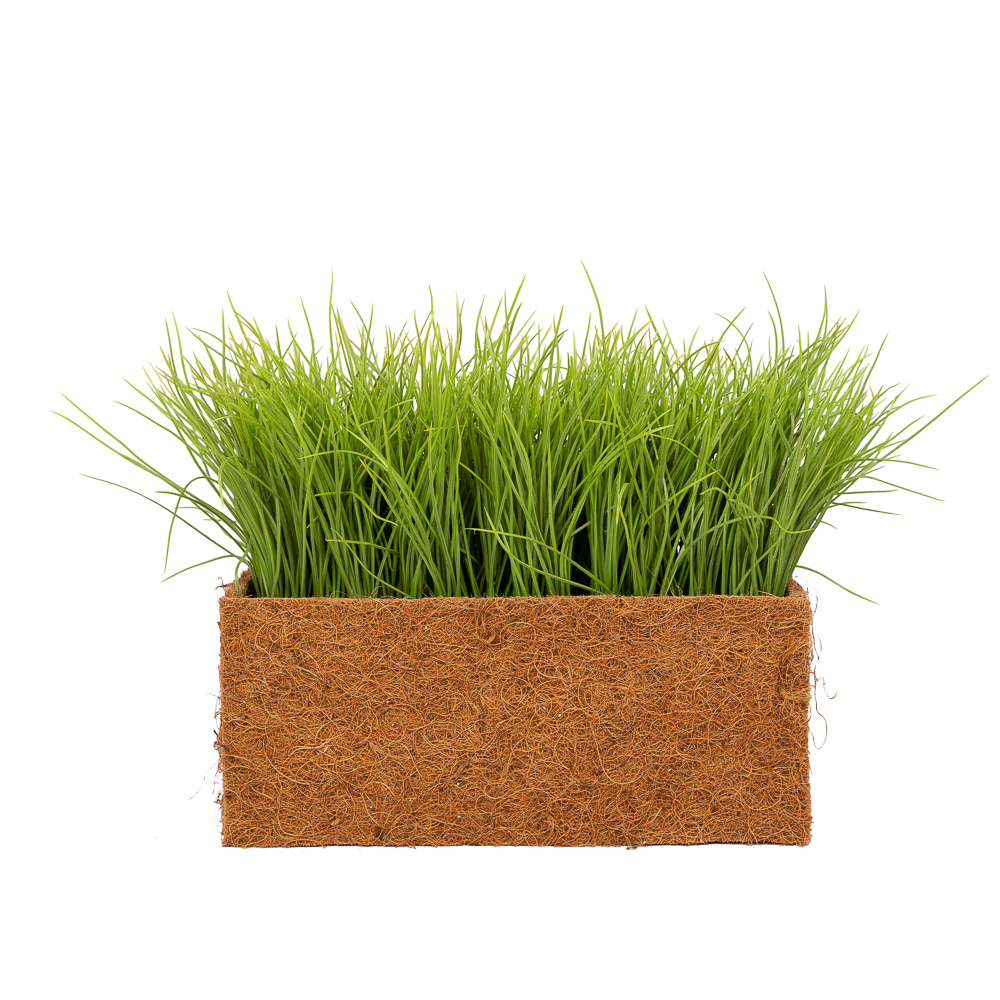 ТД058-20(з.) Трава Осока h18-20см в кокосовом боксе (36*14*h15см)_5