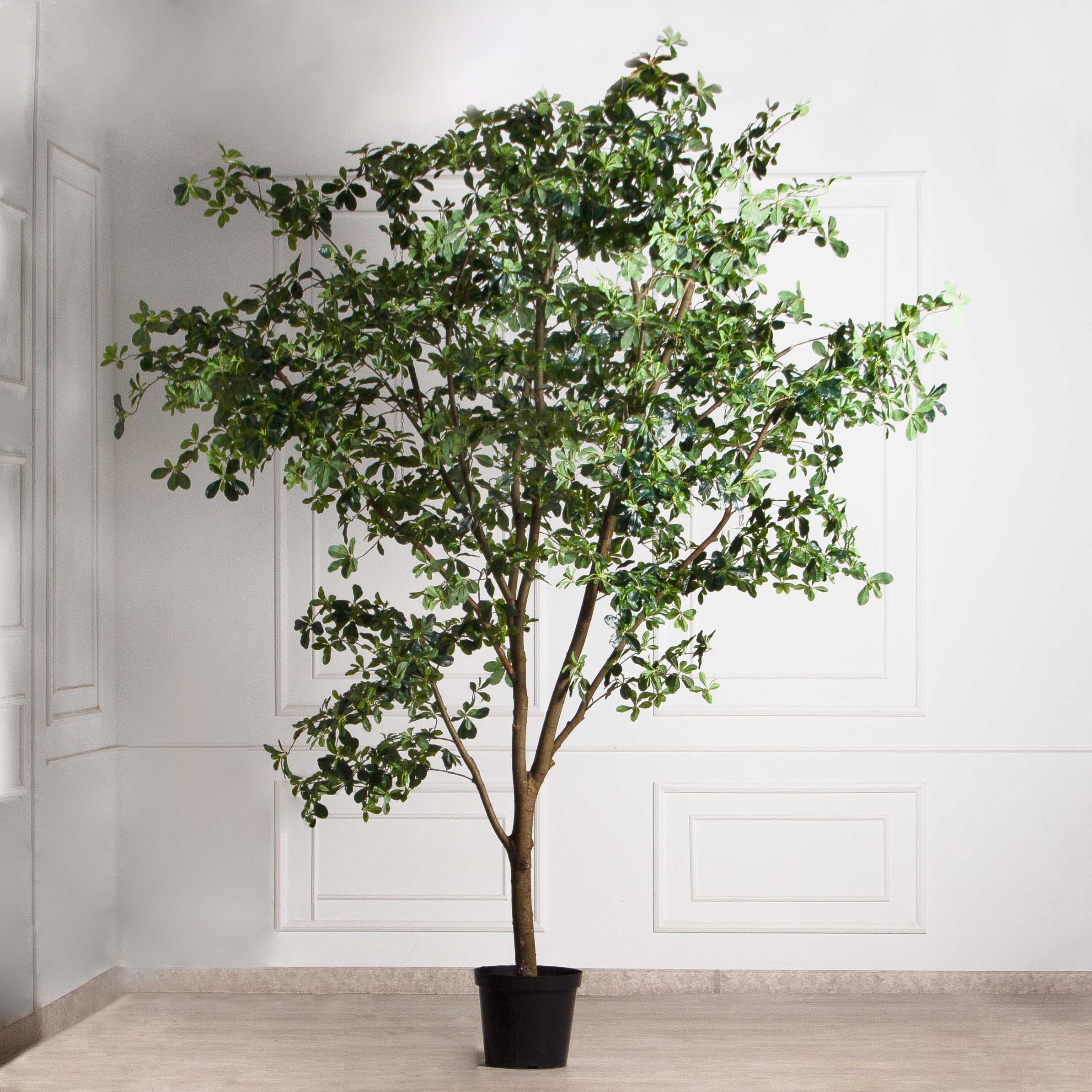 340/РН/84-1(з/УУ)(Пр)(F) Шеффлера искусственная h340см_3