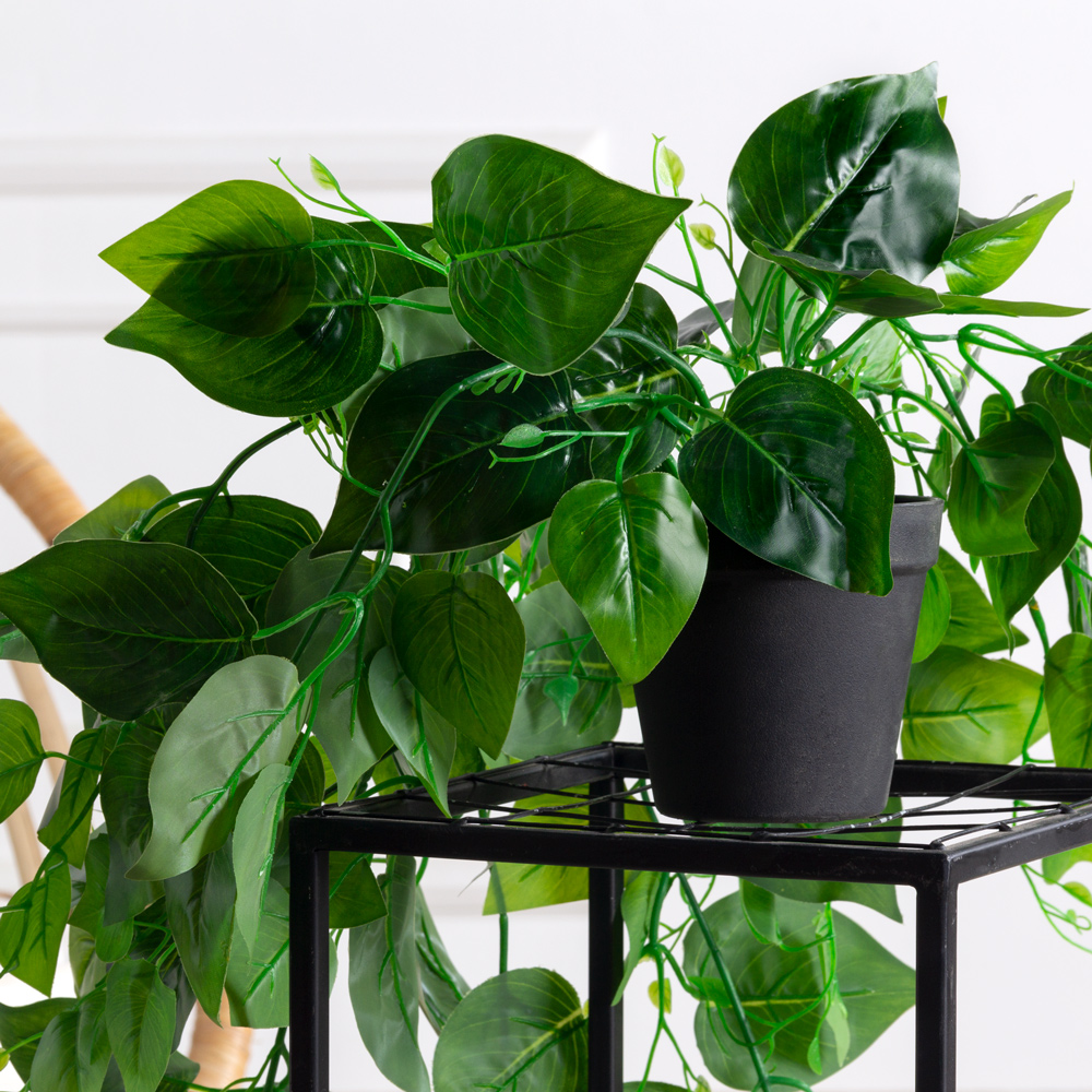 ЦС30/67-1(з)(F) Сциндапсус искусственный ампельный h12-15см в кашпо d11см_1