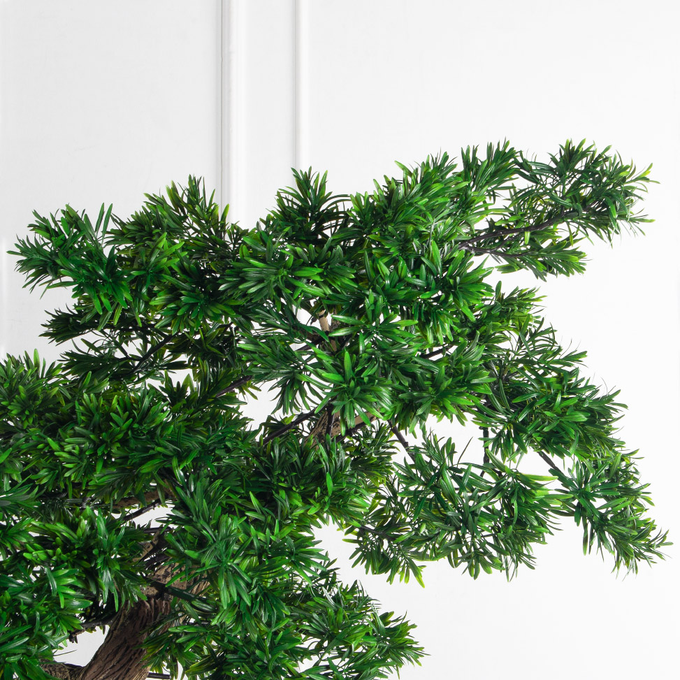 210МЕТ/АСС/241(з)(F) Подокарпус интерьерный h180 d150см_7