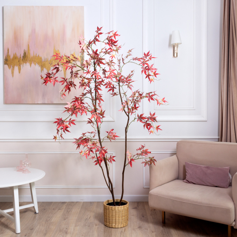 190/РН/ОК/530(Пр)(F) Клён искусственный японский h190см_5