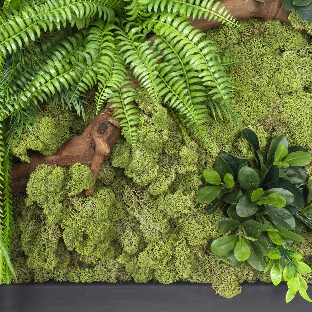 СКФ07-3(з.) Фитокартина искусств.со стабилизир.мхом 90хh60см_3