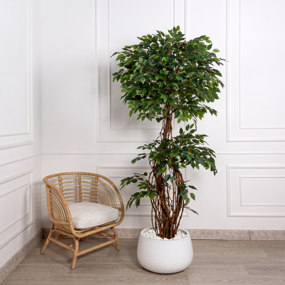 190/2К/ССТ/Л/34 Фикус искусственный h190см (латекс) _1