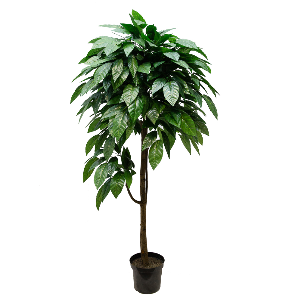 190/2К/31 Камфора 190см