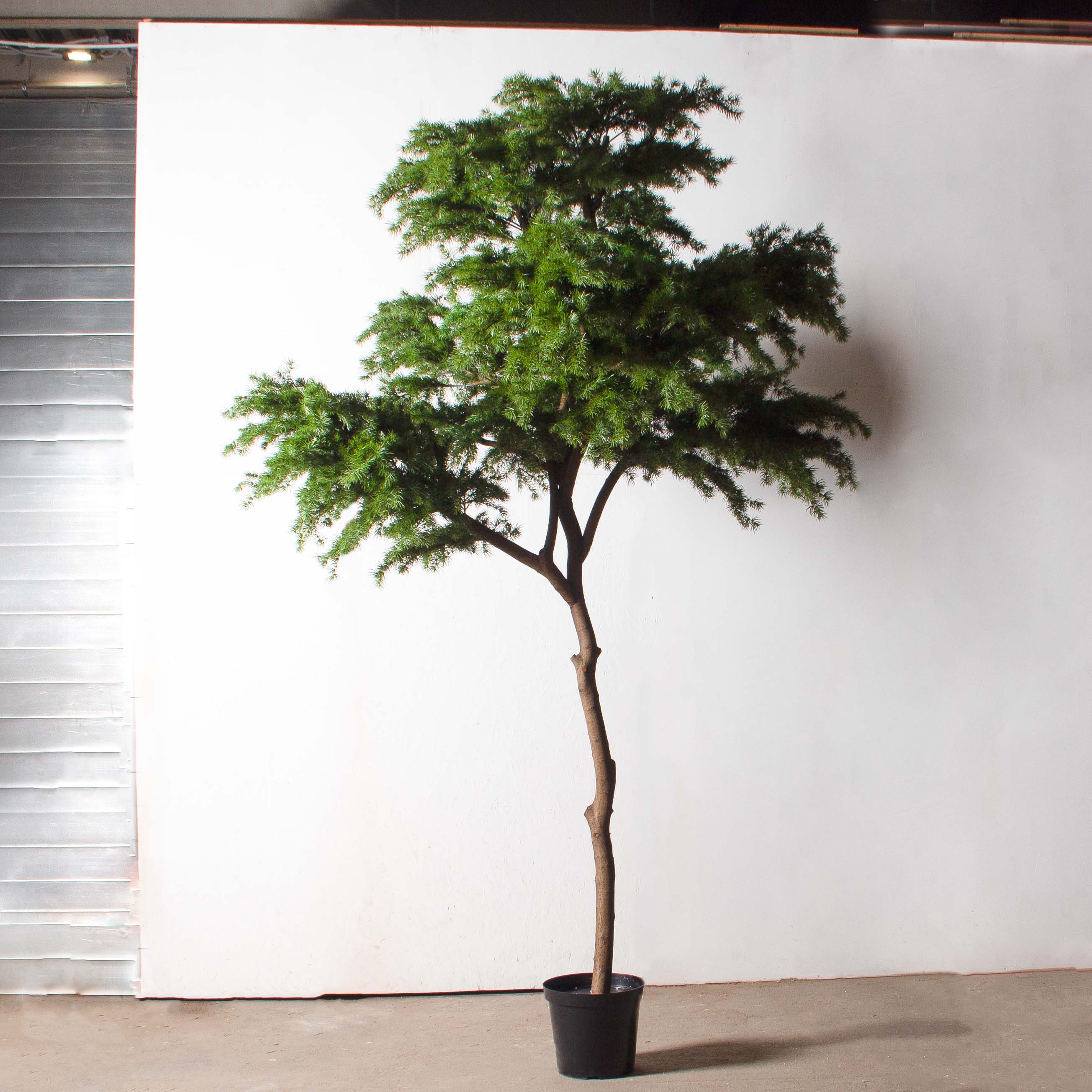 340/РН/310(з)(УУ)(Пр)(F) Лиственница искусственная h310см, d200-210см_2