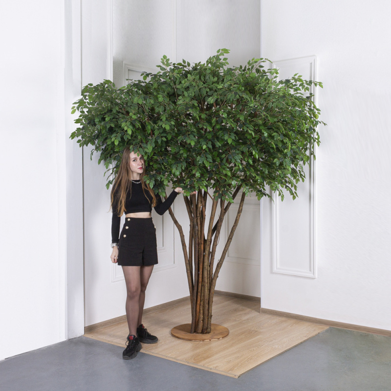 250/РН/34-4(з.) Фикус искусственный h250см(латекс), d240x140см на основании d55см_4